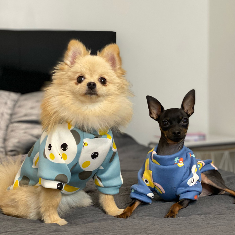 Xs Quần Áo Cho Chó Dành Cho Ch - đánh giá và giá Winter Clothing Kids