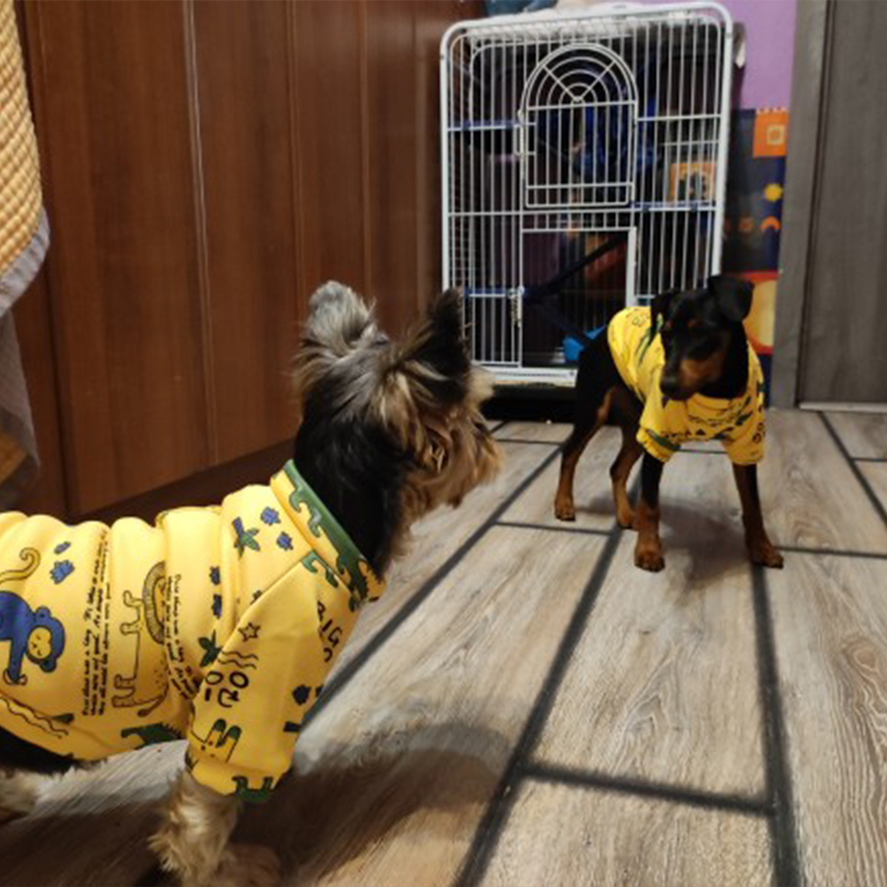 Xs Quần Áo Cho Chó Dành Cho Ch - đánh giá và giá Winter Clothing Kids
