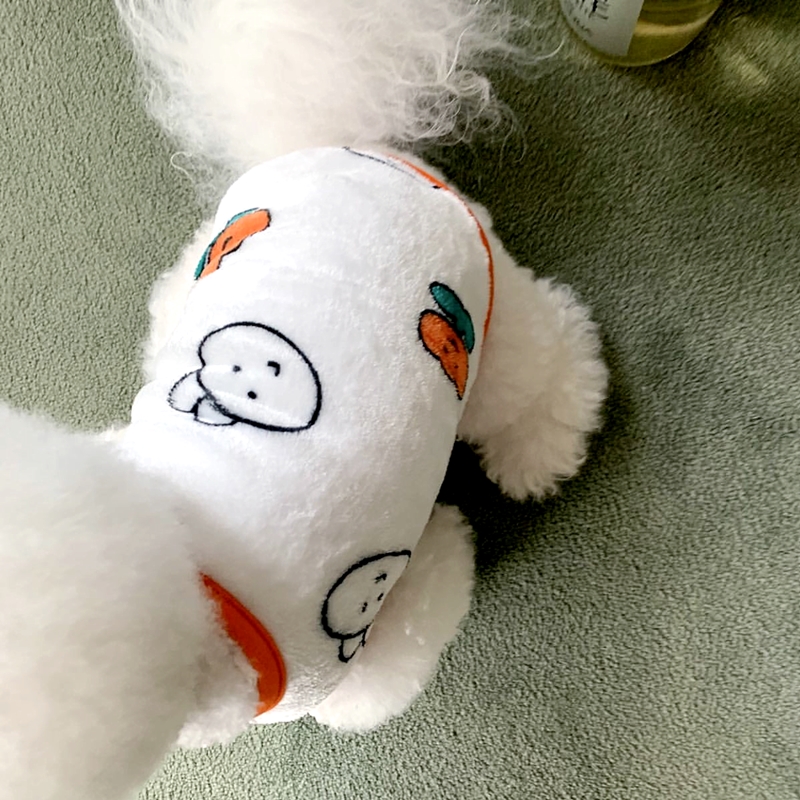 Beautiful Little Dog Rabbit Pa - đánh giá và giá Winter Clothing Patterns