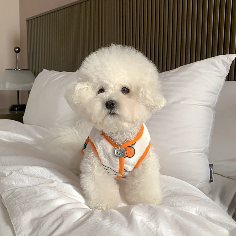 Beautiful Little Dog Rabbit Pa - đánh giá và giá Winter Clothing Patterns